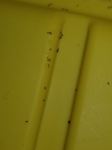20170627_135703.jpg