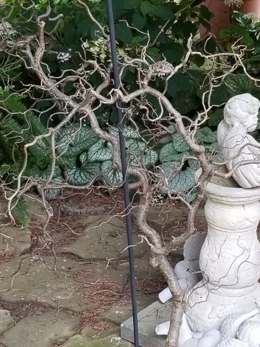 20170629_193853.jpg