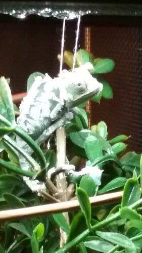 20170701_082314.jpg