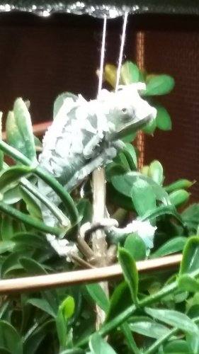 20170701_082318.jpg