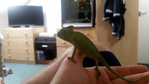 20170701_112414.jpg