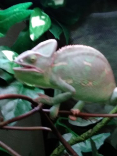 20170709_093524.jpg