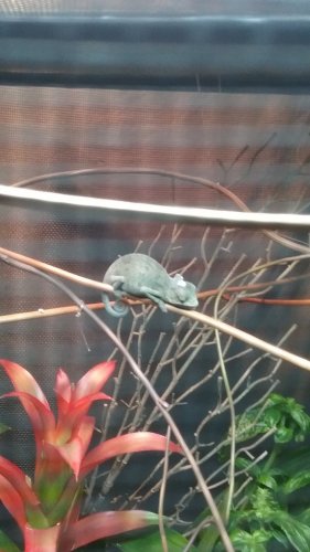 20170710_122027.jpg