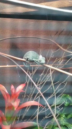 20170710_122038.jpg