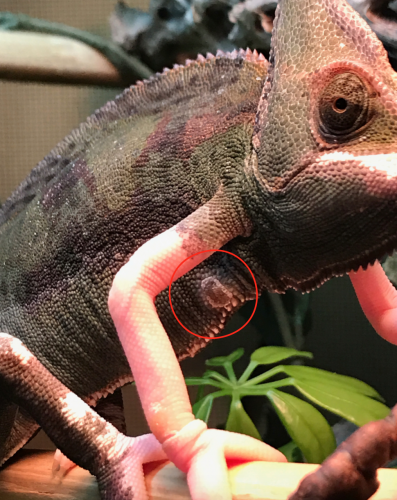 Screen Shot 2017-07-13 at 4.12.13 AM.png