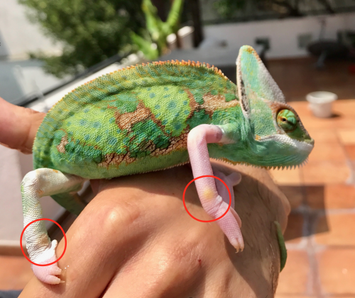 Screen Shot 2017-07-13 at 4.13.33 AM.png