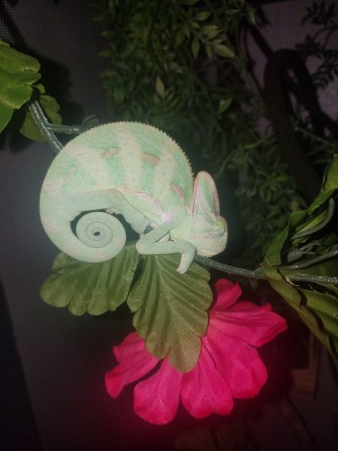 20170709_123441.jpg
