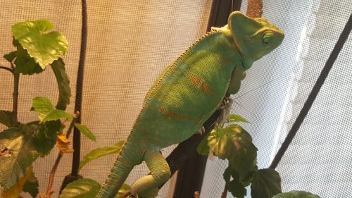 20170726_153602.jpg