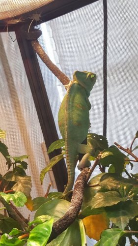 20170726_153610.jpg