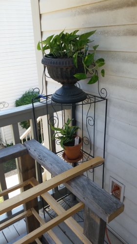 20170805_120437.jpg