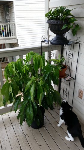 20170814_174222.jpg