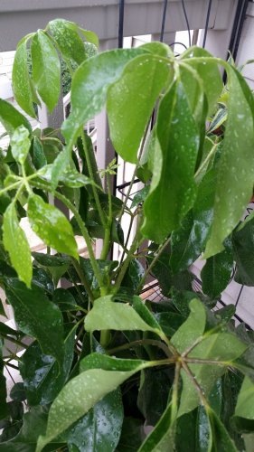 20170814_174302.jpg