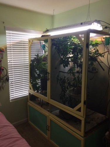 cage.jpg
