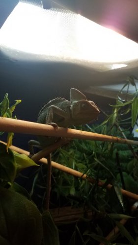 20170816_090024.jpg 20170816_090024.jpg