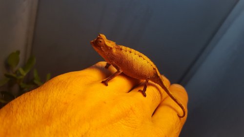 20170818_074437.jpg 20170818_074437.jpg