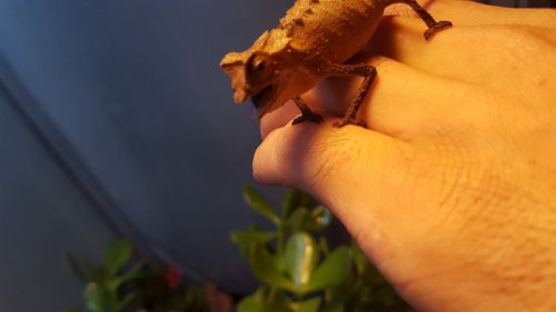 20170818_074501.jpg 20170818_074501.jpg