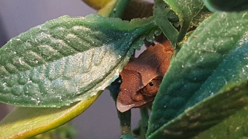20170816_170228.jpg 20170816_170228.jpg