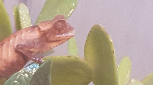 20170815_144114.jpg 20170815_144114.jpg