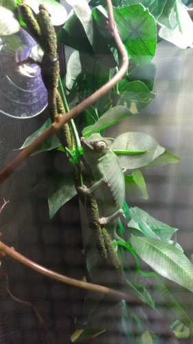 IMG_20170816_154532.jpg