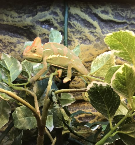 FullSizeRender 24.jpg