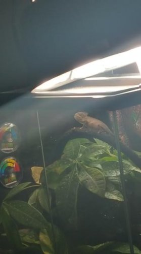 20170911_184029.jpg