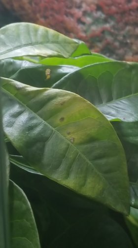 20170913_060838.jpg