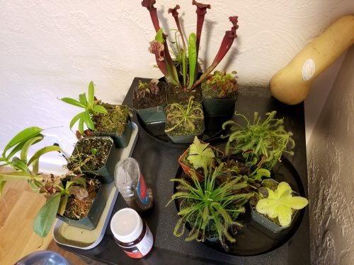 20170928_111307.jpg