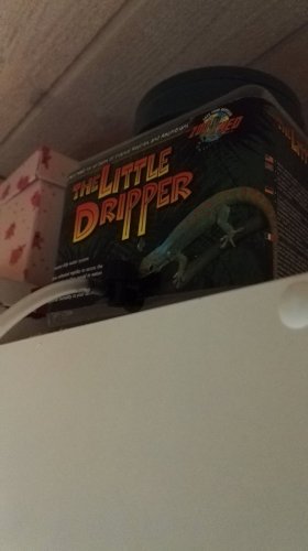 1507228581713-931239924.jpg