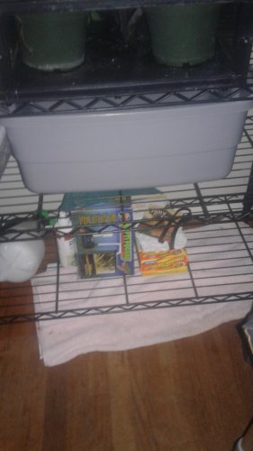 20171006_034013.jpg