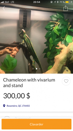 B0D28286-4AD0-4592-8548-6FD6AE6DF99C.png