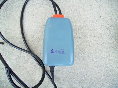 PICT0411.JPG