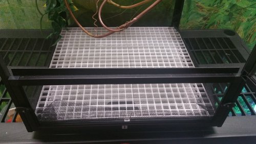 20170901_183019.jpg