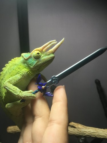 link.jpg link.jpg