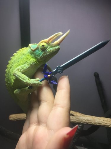 link2.jpg link2.jpg