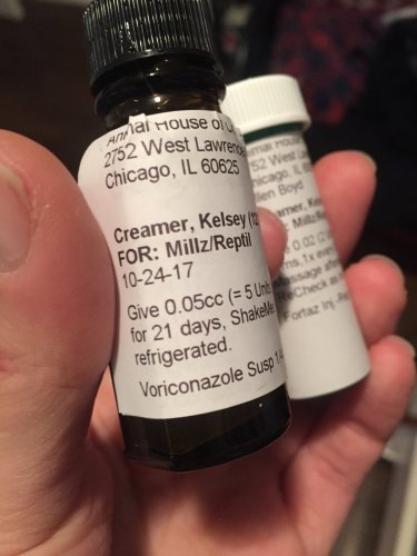 Medicine 2.JPG