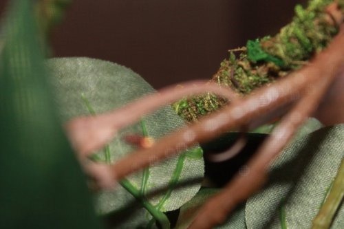 IMG_1155.jpg