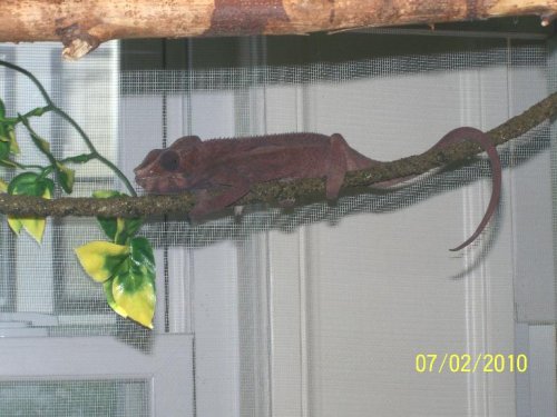100_2928-1.jpg