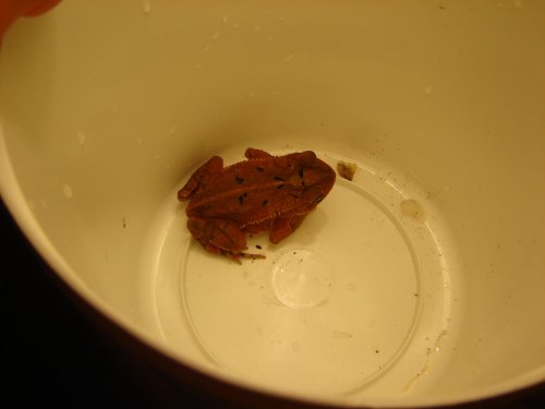 DSC01011.jpg