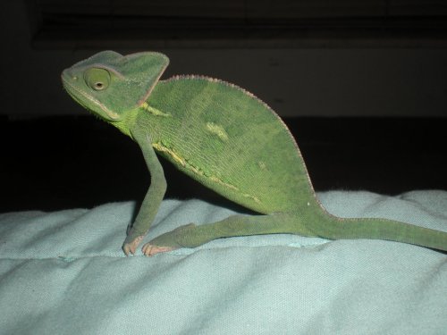DSCN3966.jpg