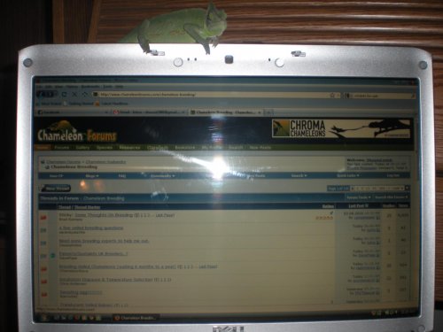 DSCN4023.jpg