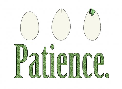patience2.jpg