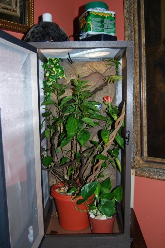 DSC_0006.jpg
