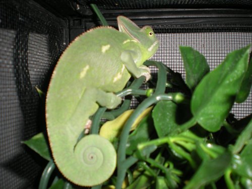DSCN4050.jpg