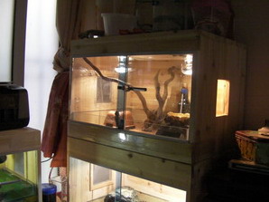 cage_type1.jpg
