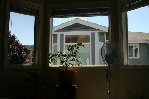IMG_5130.jpg