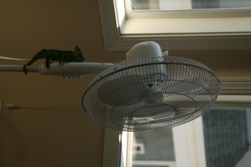 IMG_5129.jpg