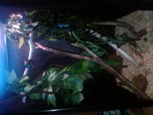 IMG00009-20100729-1633.jpg