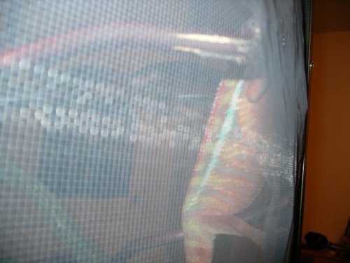Picture 028.jpg