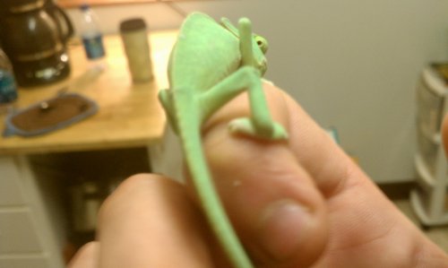 IMAG0203.jpg