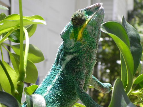 july 31 2010 pics 053.jpg